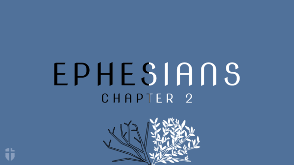Ephesians 2, Pt. 1 Image
