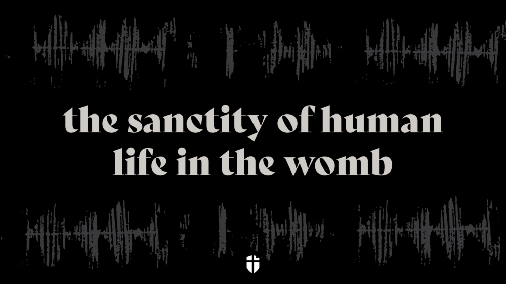 The Sanctity Of Human Life In The Womb