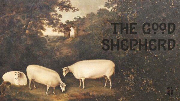 The Good Shepherd, Pt. 2 Image