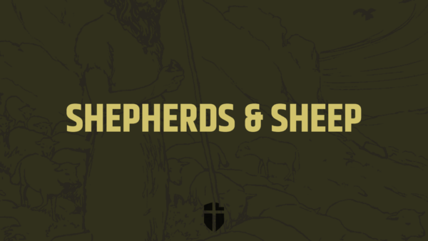 Shepherds & Sheep Image